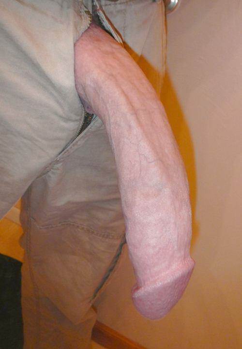 Image #2808