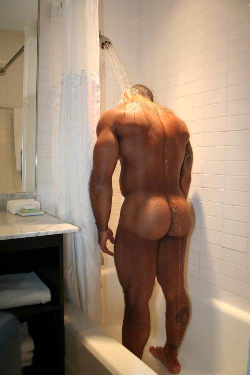 Image #4638